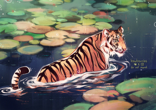 hawberries: i just wanted to indulge in some more tiger time and instead i had to go through like se