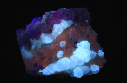 Witherite, calcite and fluorite from Rosiclare, Illinois.  Pictured under white light, long wav