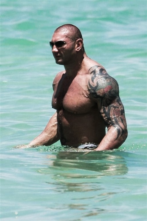 wwe-4ever:  Best Shots Of Batista 50-53/?