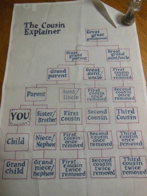 domo-fan1: sixpenceee: The cousin explainerSource I finally understand my family