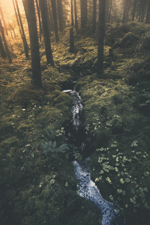 lsleofskye: Värmland | jabe147