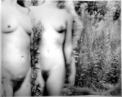 afroui:  Francesca Woodman