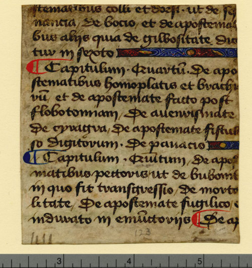 muspeccoll: This week’s manuscript fragment comes to us from France and dates to around 1400. 