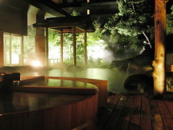 chibe-chan95:  An onsen in Tokyo.