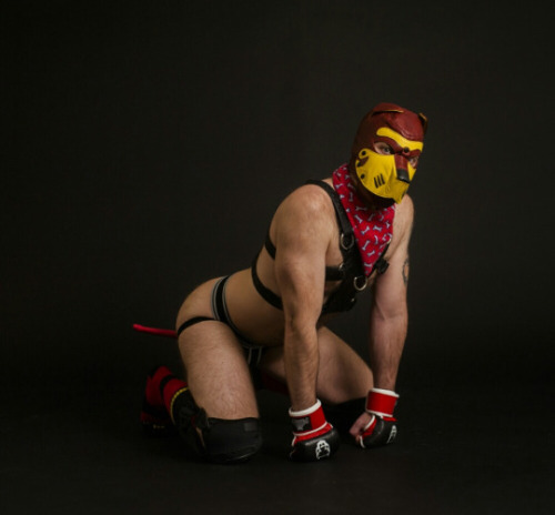ace-puppy:  @daveywoofr, @fawn–prince, @goodboychance, @nnydlboi, @p0cket-pup, @pup-grizz, @pupsirius, @ruttpup, @tuggerpup, @twitchthepup Hooded Pups of Tumblr #21 