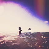 swoggy-blog:   harry’s prettiest picturestagram  
