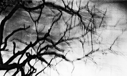 philomena-famulok:  Dunkelheiten  ©Philomena Famulok   series “fragments of the night”    