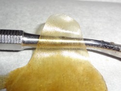 errl-y-girl:  Scott’s OG rosin