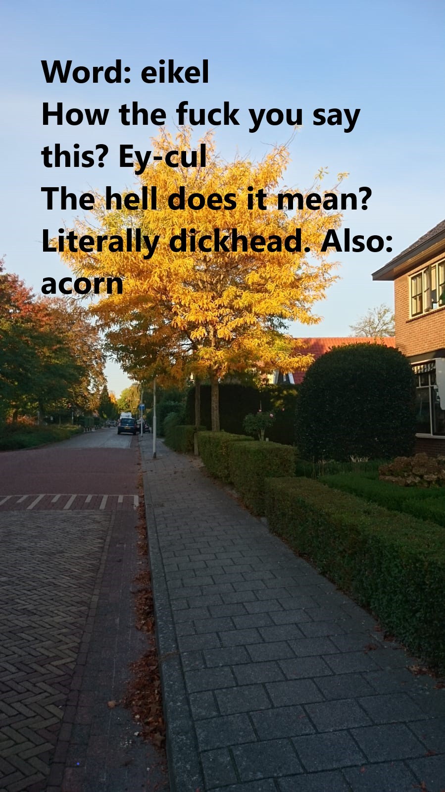 I thought I’d share some Dutch curse words in...