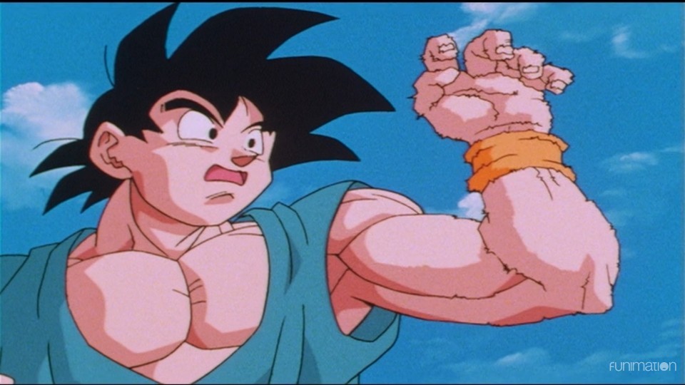 Why did Goku choose to train Uub at the end of Dragon Ball Z? What