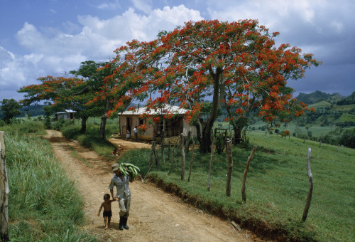 bellezonero:  (Photo by B. Anthony Stewart/National Geographic Creative