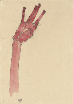 likeafieldmouse:  Egon Schiele - Hand (1910)