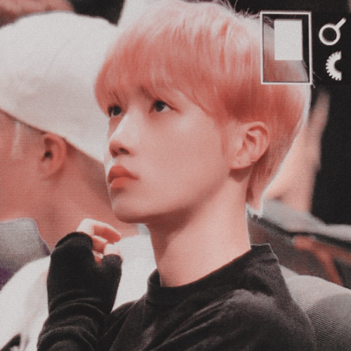 CHANHEE| pink iconsʟɪᴋᴇ ᴏʀ ʀᴇʙʟᴏɢ ɪꜰ ʏᴏᴜ ꜱᴀᴠᴇ ♡ ᴅᴏɴ'ᴛ ʀᴇᴘᴏꜱᴛ