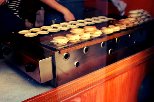 thywanderist:  Daily Snaps, 