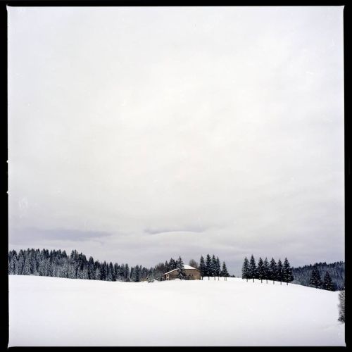 Les Moussières #hasselblad #mediumformat #500cm #kodak #ektar100 #photo #photography #winter #snow #
