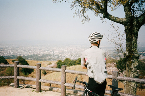 Exploring Nara Park,April 2017