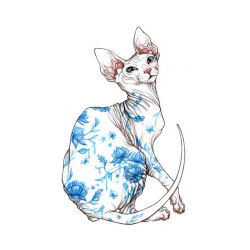thecatart:  5x7 print “porcelain” cat pictures art