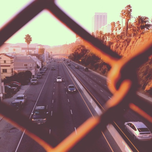 losangeles:  Pacific Coast Highway, Santa Monica   one day