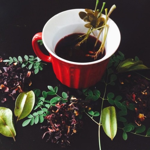 Hibiscus Moringa Bay Leaf Tea  ….with breakfast this morning (at Christ Church, Barbados)