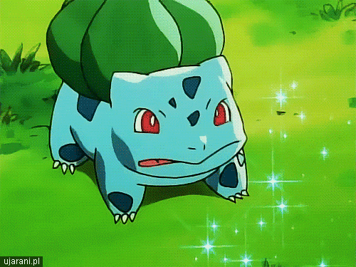 higheramerica: Bulbasaur chiefin hard afFollow higheramerica