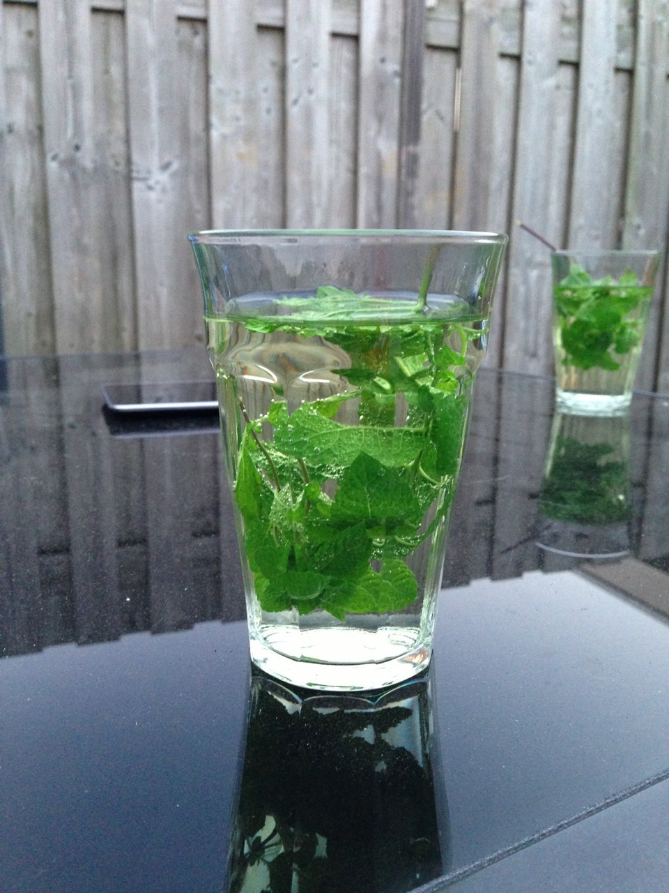 excule:  freshuclub:  boa-vista:  Mint tea  ✩  it looks more like mint water 