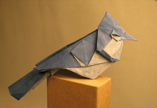 misswallflower:Origami by Roman Diaz