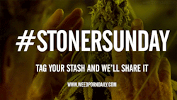 weedporndaily:  Happy Stoner Sunday! Tag your stash #stonersunday or submit it and get reblogged! See all the #StonerSunday submissions!