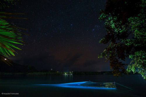 Bioluminescent Glow by khanusiak on Flickr.