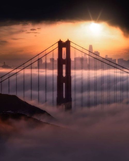 San Francisco @sakie.visuals