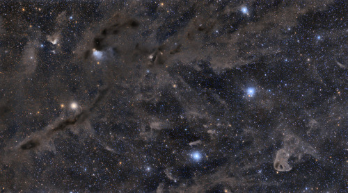 A Dark and Dusty Sky : In the dusty sky toward the constellation Taurus and the Orion Arm of our Mil