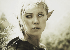 Hyaenabrunnea