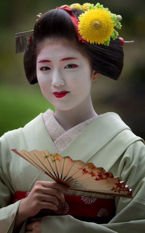 Sakkou 先笄 #12 | Maiko Kotoha 琴葉 from Gionkobu | In