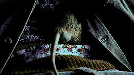 potterblr:  “If you made a better rat than a human, it’s not much to boast about,