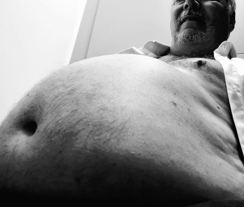 Black And White Obese Hog