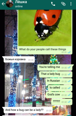 tupaya-devushka: International relationships