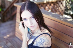 casper10413:  Venom Suicide