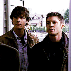 goredviscera:  supernatural one gif set per an episode  1x08: Bugs  