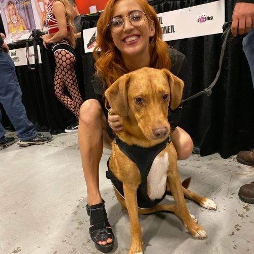 Please bring your dogs to meet me. I love them so much.  (at New Jersey Convention and Exposition Center) https://www.instagram.com/p/B4JYaMig8o3/?igshid=1kmy9n1od9hw5