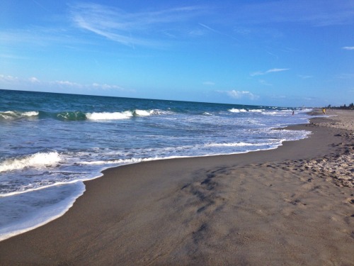 palmtruce: Florida beach