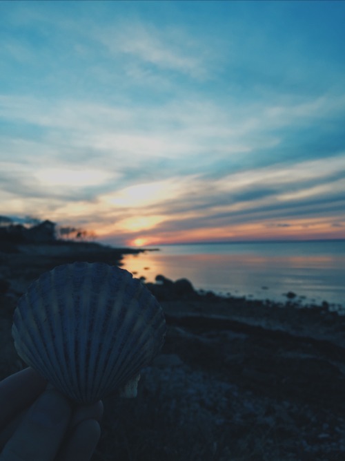"What Affects Us Reflects Us." -MissRhiMix