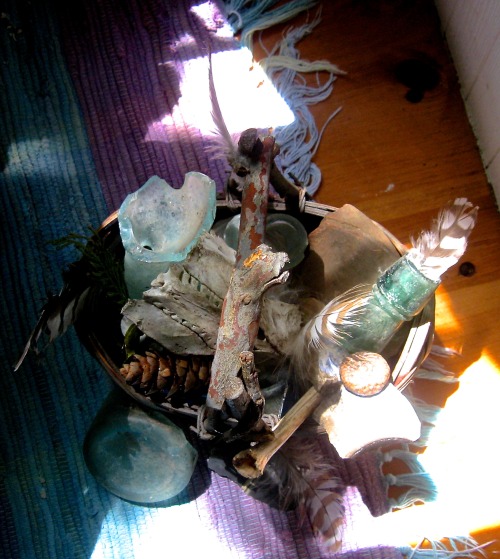 Feathers, bones, old glass, and pine cones. Stuff I find on walks.