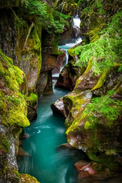 sublim-ature:  Avalanche Creek, MontanaMiles