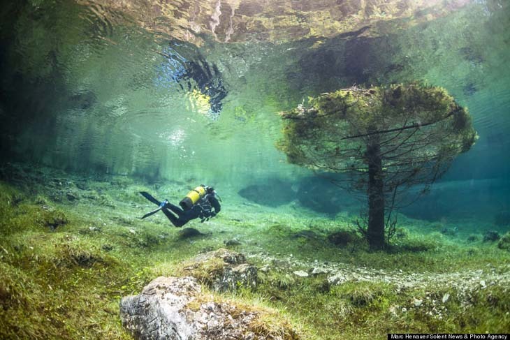 the-elephant-queen:  brain-food:  This is most most bizarre underwater world in Austria’s
