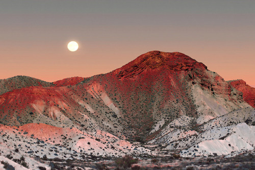kimi-wa-kasa-o-sashiteita:Deserts of the Future (ph. Al Mefer)