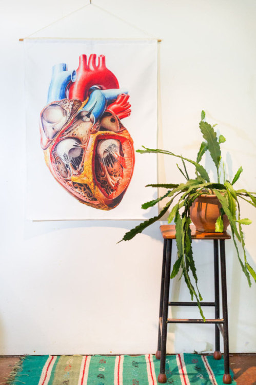 Anatomical Heart Wall Hanging //mybeardedpigeon
