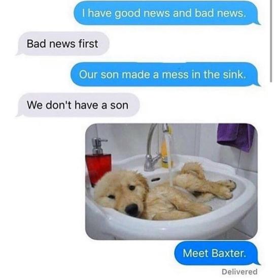 Baby dog bath