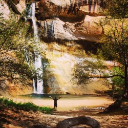 mypubliclands:  What Public Lands are You Grateful For? I am grateful for my ‘happy place’ — a shady beach-like area near the base of Lower Calf Creek Falls in the Grand Staircase-Escalante National Monument, where many break for lunch or play in