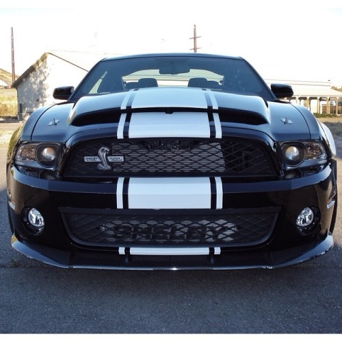 Mustang shelby gt500 super snake wide body