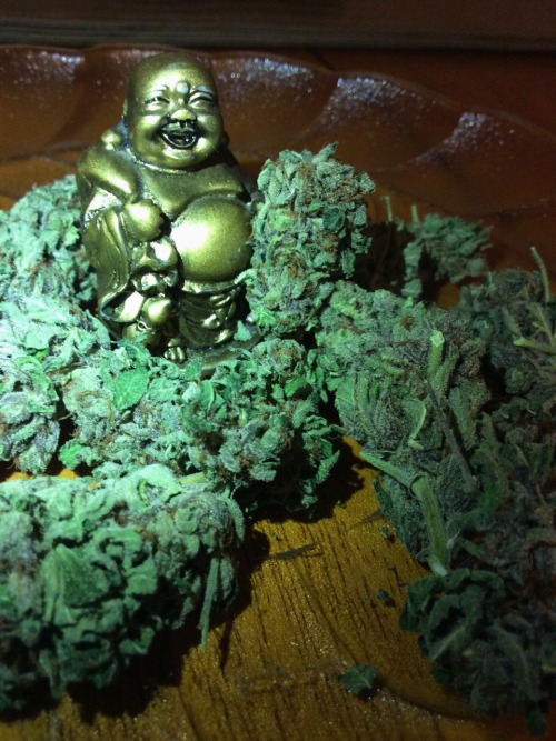 marijuana-aholic:  Happy Buddha