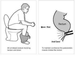 bigdaddy3146:  annieskywalker:  summmer-solstice:  royalpineapplejunky:  lebritanyarmor:  what ? I’ve been shitting wrong my entire life , fam ?  Ain’t That Some Shit  I start doing this &amp; it feels so much better.  I got the lil step stool lmao